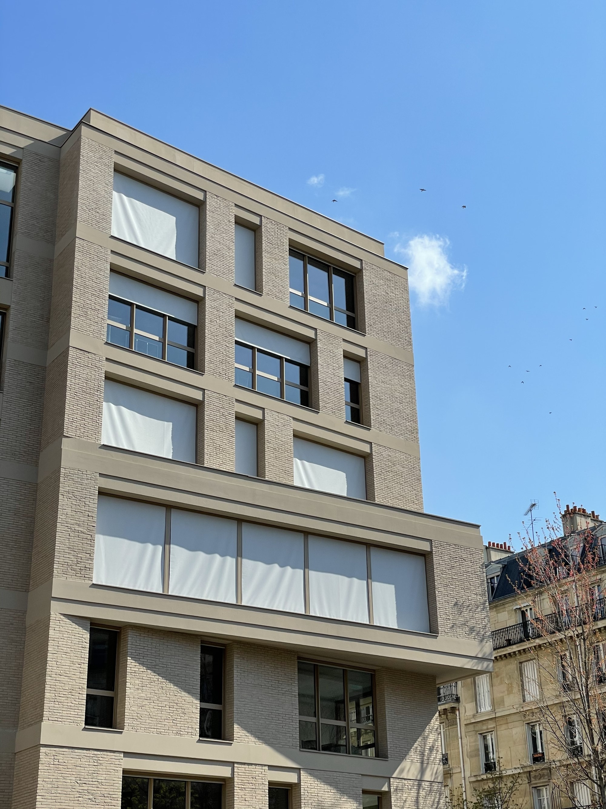 Lycée d'enseignement catholique Notre-Dame des Oiseaux Image 1
