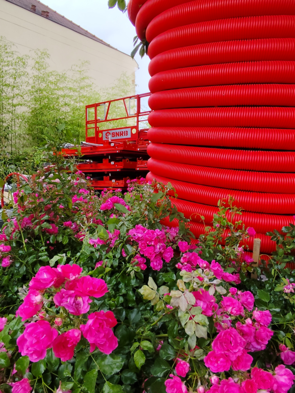 Biodiversité Image 1